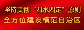 坚持贯彻“四水四定”原则，全方位建设模范自治区
